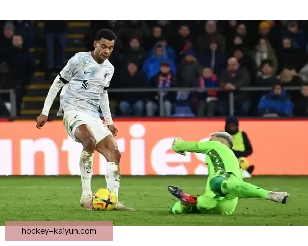 阿利松克洛普时代回忆