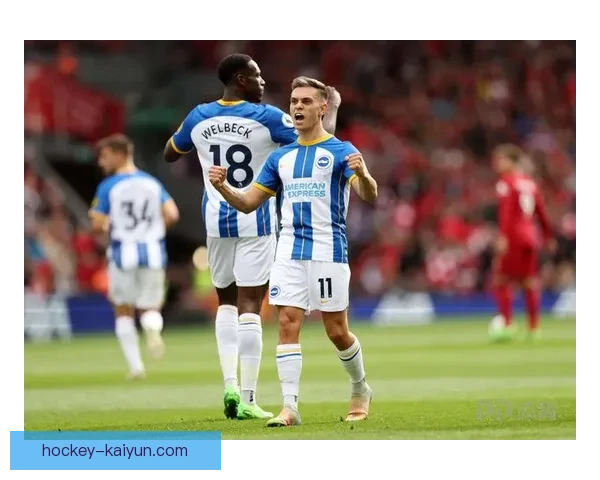 英超布莱顿引援频繁，备受期待新赛季竞争力增强